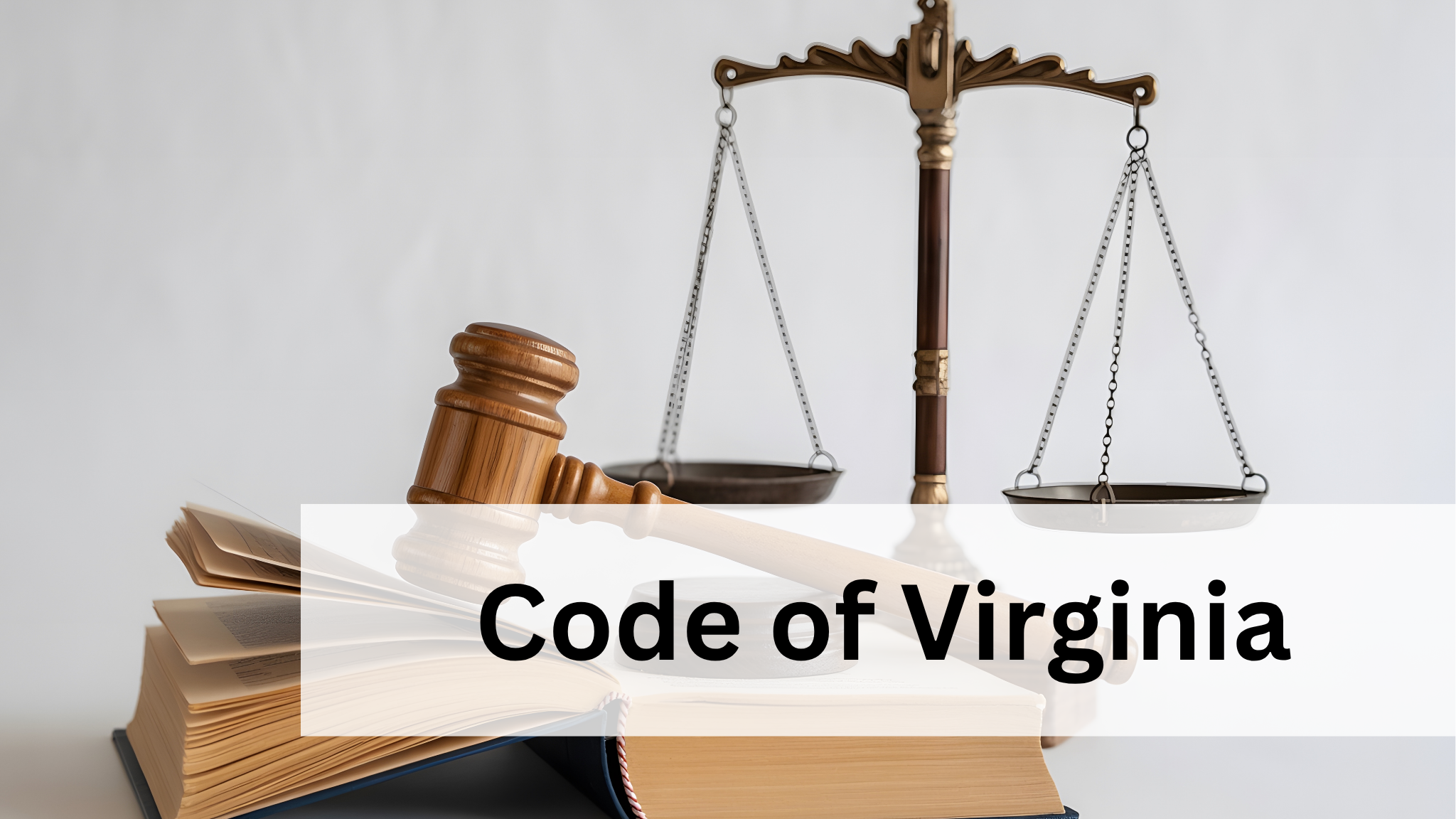 Haz clic aquí para visitar el sitio web del Código de Virginia.